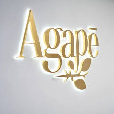 agapechiropractic agapechiropractic